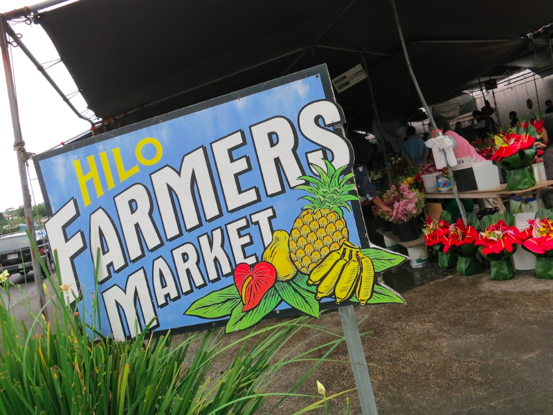 CatTravels Quick jaunt to Hilo The Cat Dish